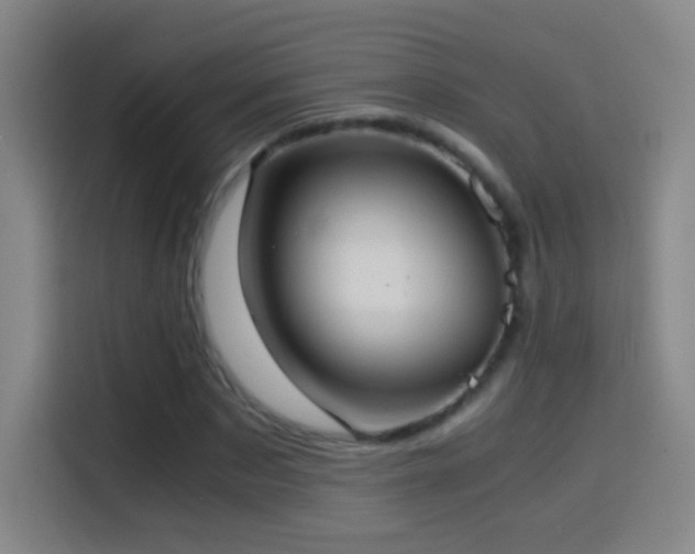 X0000114540873200910191340