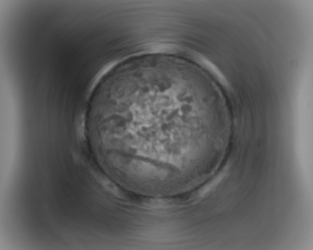 X0000114540875200910191340