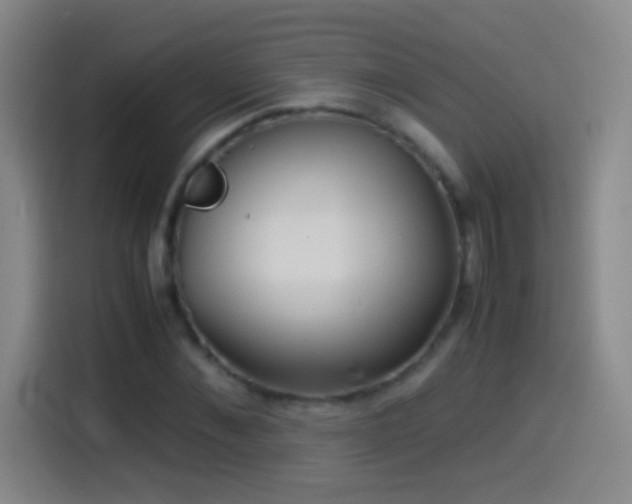 X0000114540876200910191340