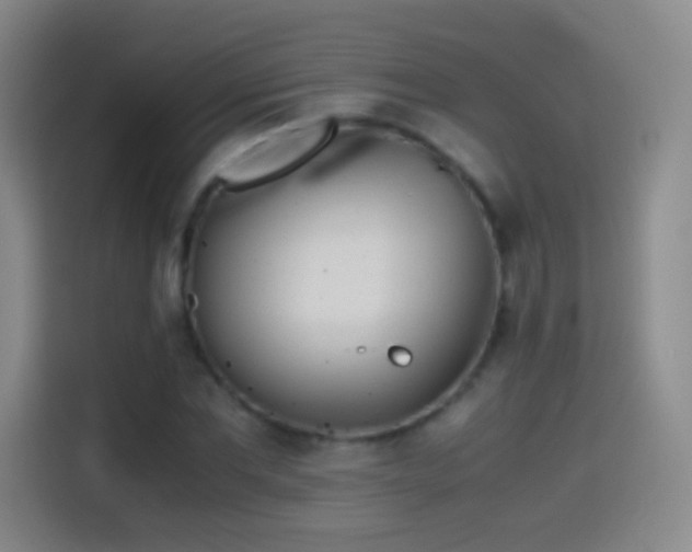 X0000114540877200910191340