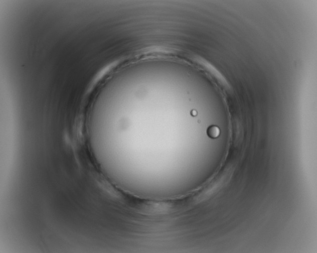 X0000114540878200910191340