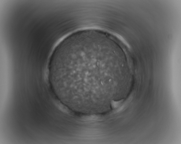 X0000114540879200910191340