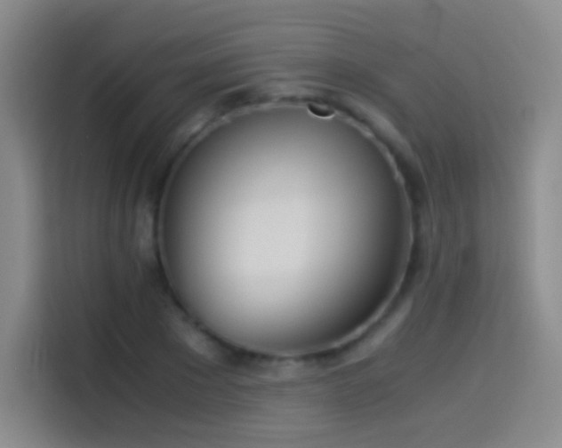 X0000114540881200910191340