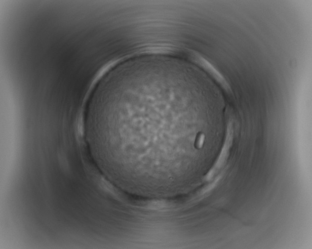 X0000114540883200910191339