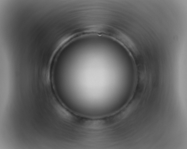 X0000114540884200910191339