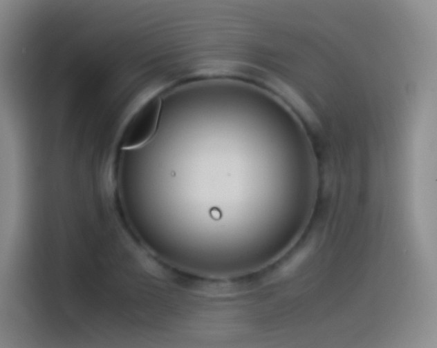 X0000114540885200910191339