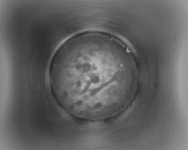 X0000114540887200910191339