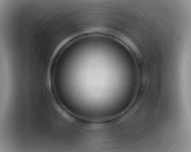 X0000114540888200910191339