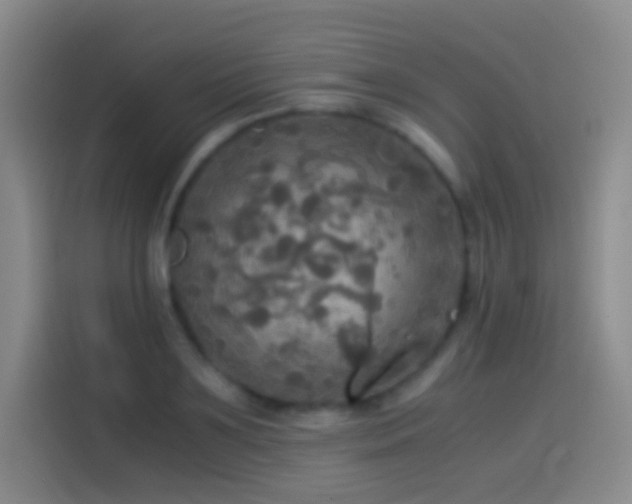 X0000114540891200910191339