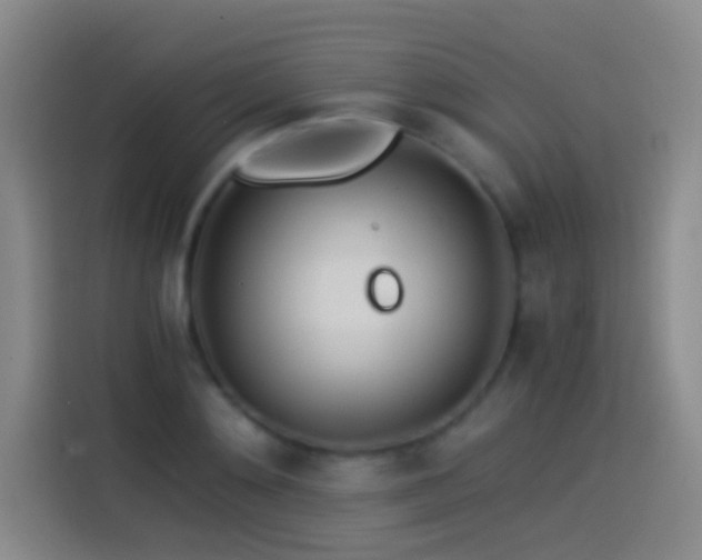 X0000114540892200910191339