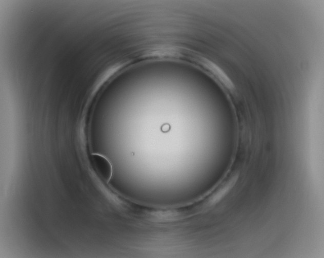 X0000114540893200910191339