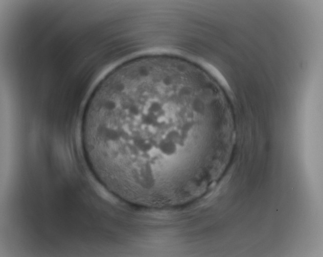 X0000114540895200910191339