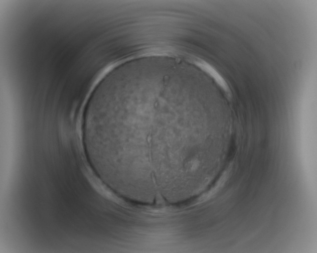 X0000114540899200910191339