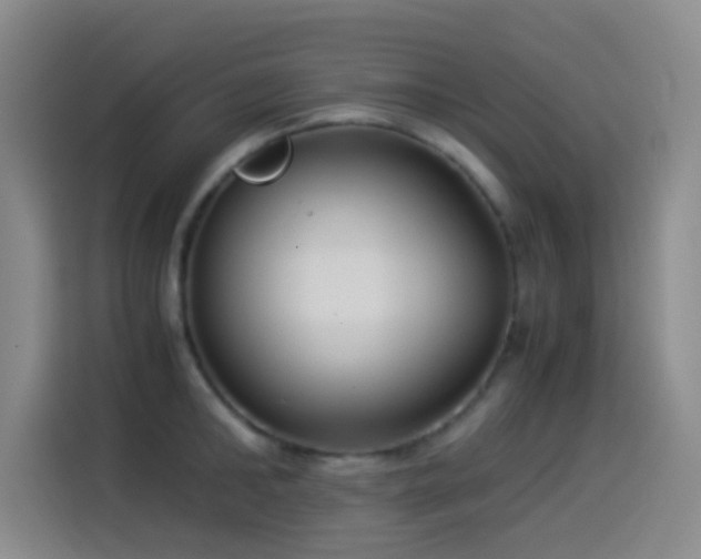 X0000114540902200910191339