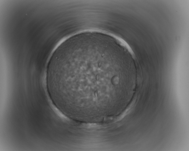 X0000114540903200910191339