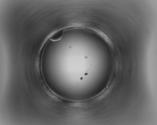 X0000114540904200910191339