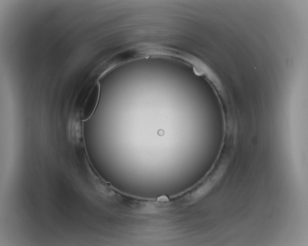 X0000114540905200910191339