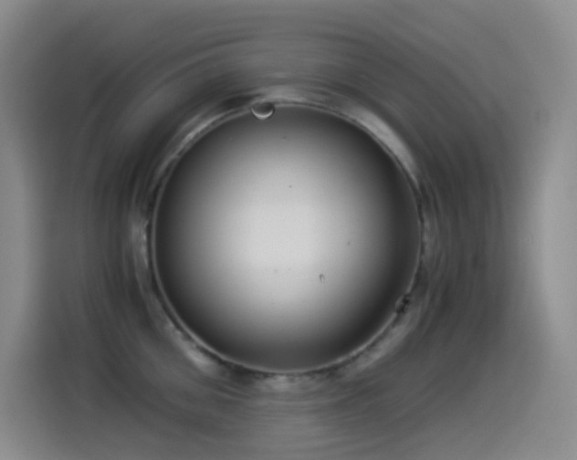 X0000114540906200910191339