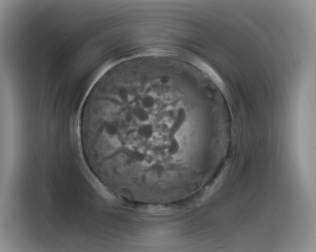 X0000114540907200910191339