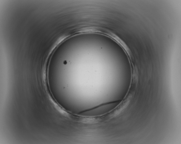 X0000114540909200910191339