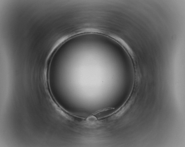 X0000114540910200910191339