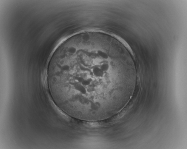 X0000114540911200910191339