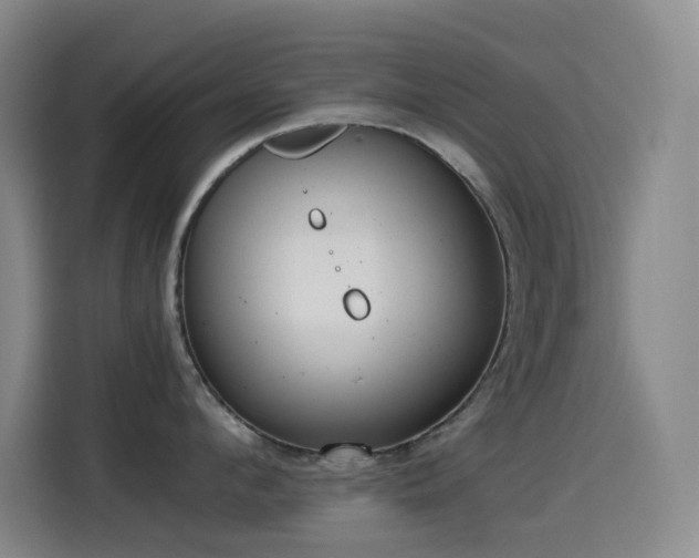 X0000114540912200910191339