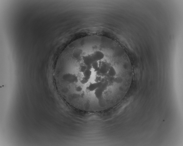 X0000114540913200910191339