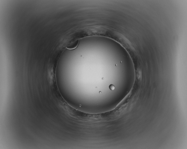 X0000114540915200910191339