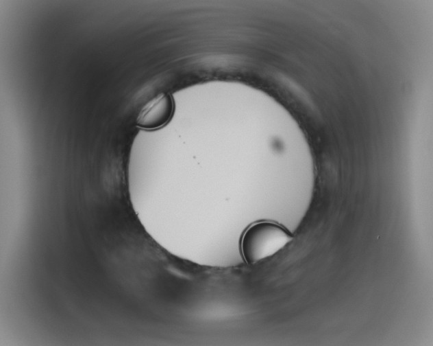 X0000114540918200910191339