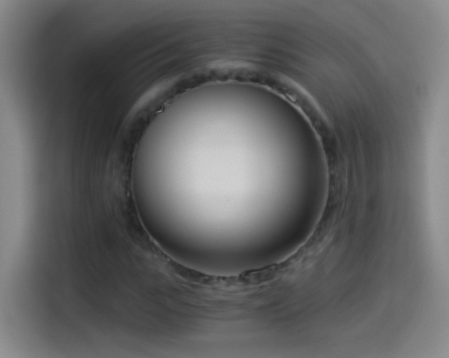 X0000114540919200910191339