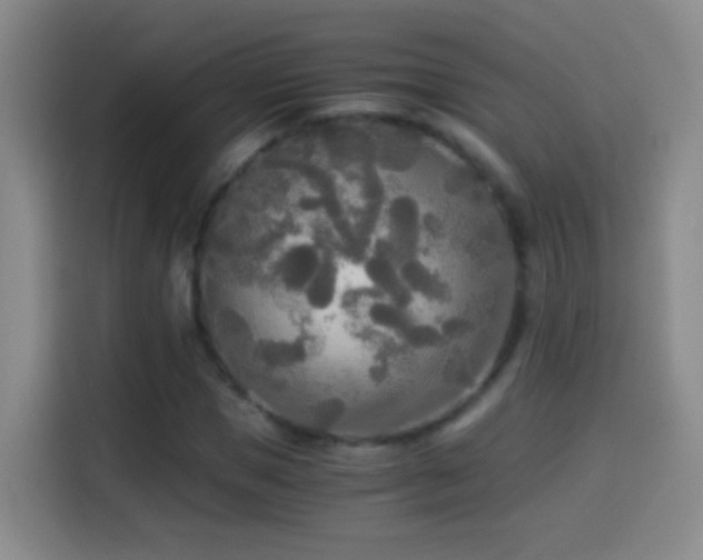 X0000114540921200910191339