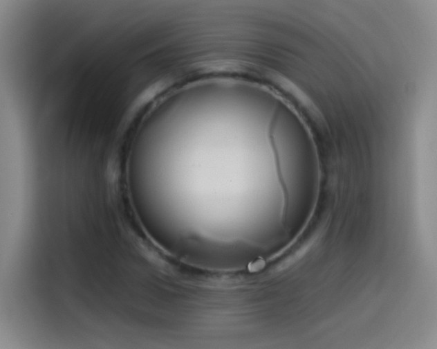 X0000114540922200910191339