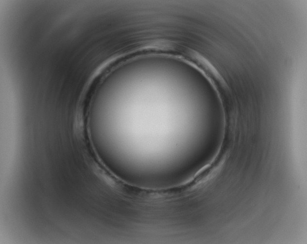 X0000114540923200910191339