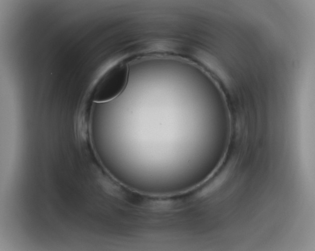 X0000114540925200910191339