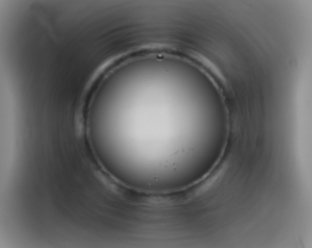 X0000114540927200910191339