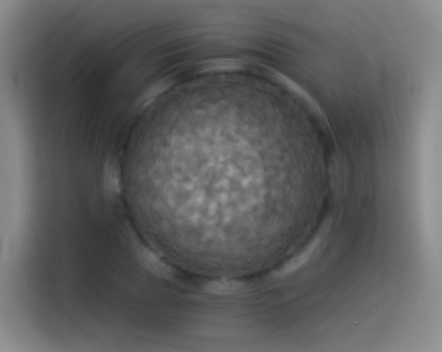 X0000114540929200910191339