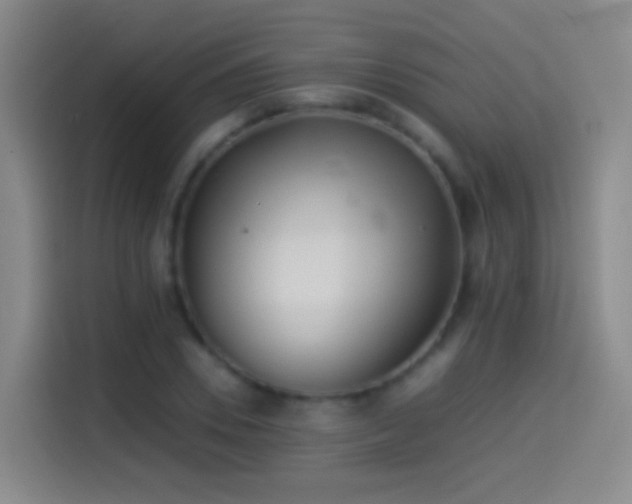 X0000114540930200910191339