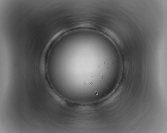 X0000114540931200910191339