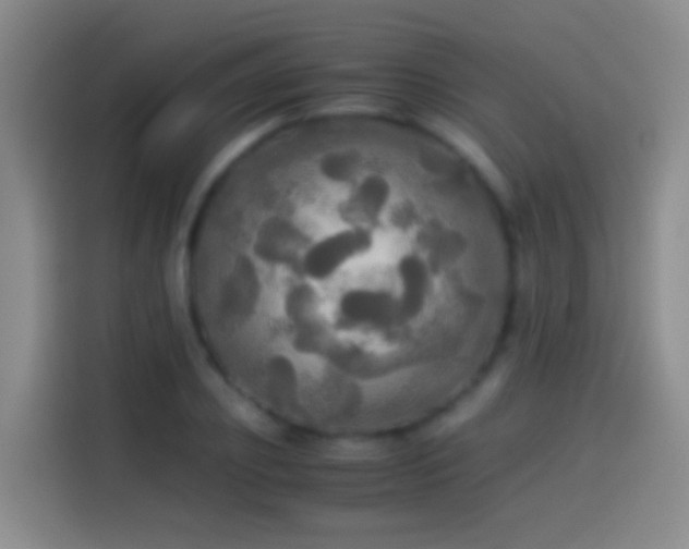 X0000114540933200910191339