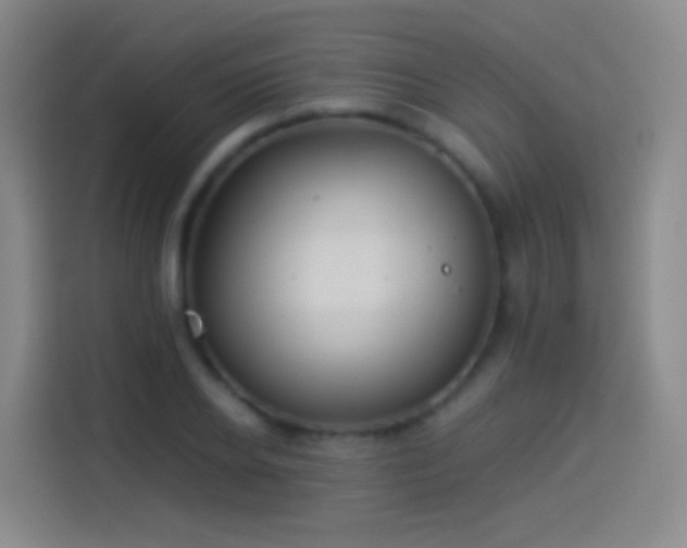 X0000114540934200910191339