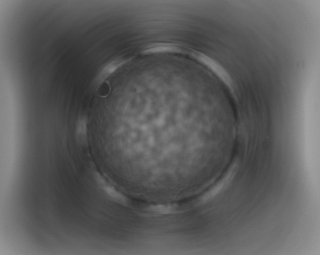 X0000114540937200910191339