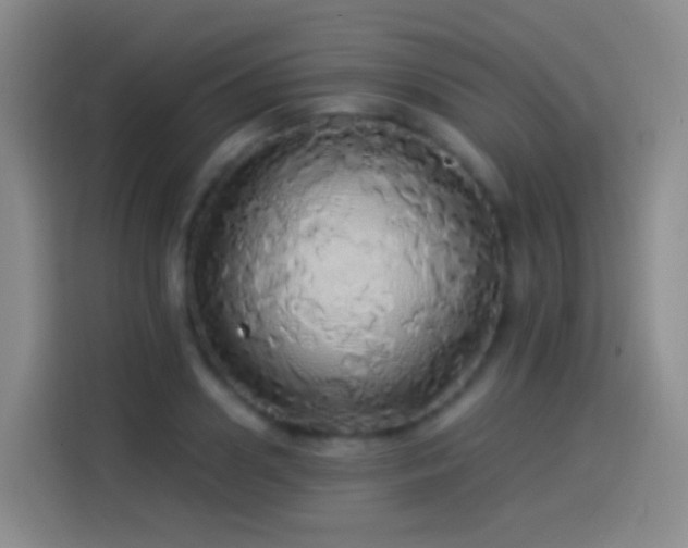 X0000114540938200910191339