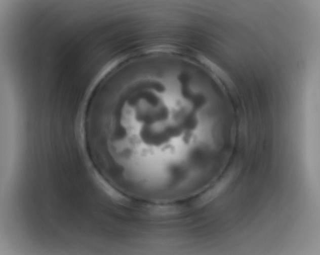 X0000114540941200910191339