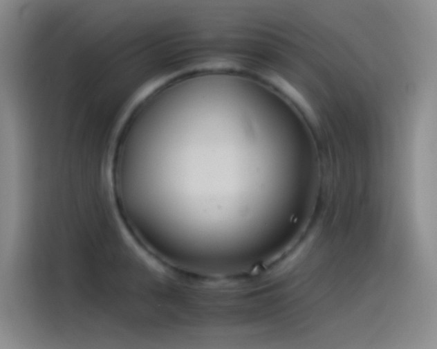 X0000114540943200910191339