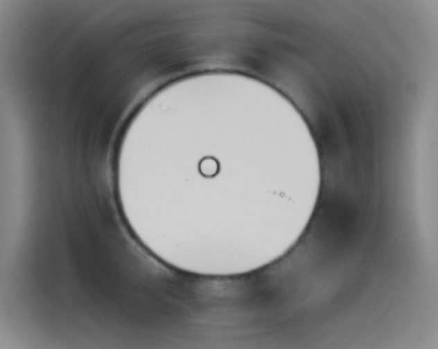 X0000114540950200910191339