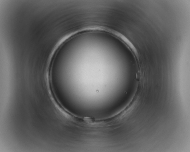 X0000114540951200910191339