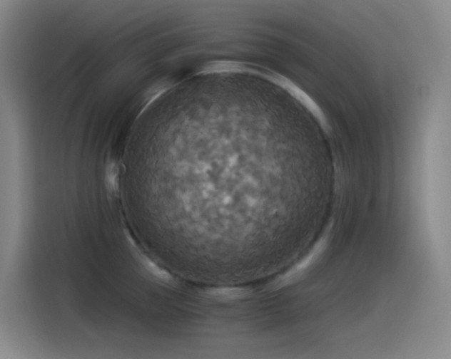 X0000114540953200910191339