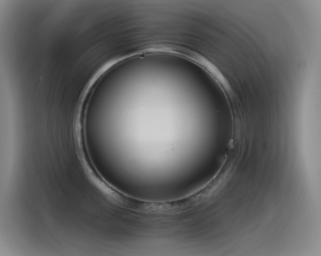 X0000114540955200910191339