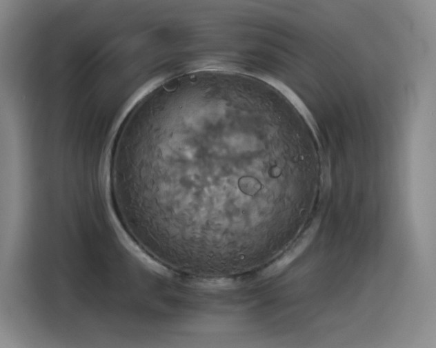 X0000114540957200910191339